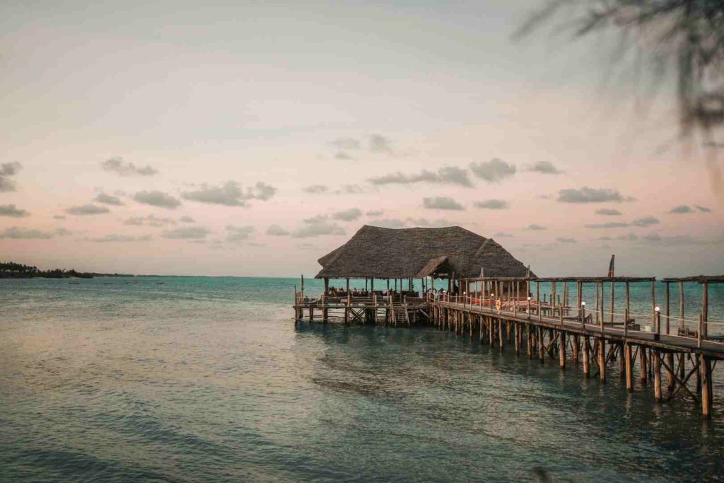 Swimming with whale sharks in Mafia Island Tanzania