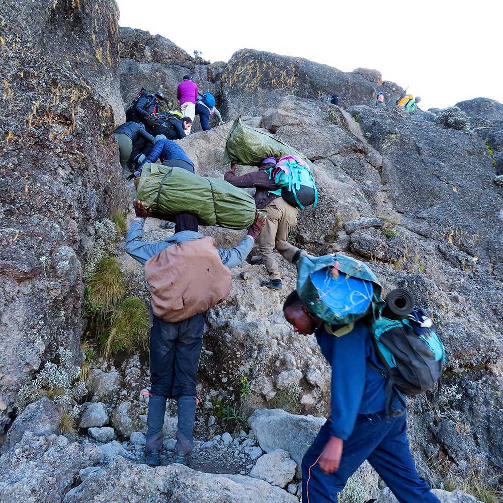 Northern Circuit Kilimanjaro Trek 11 days adventure with high success rate.