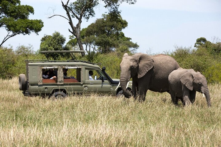 Safari 4x4 cruiser with tourists observing wildlife in Tanzania