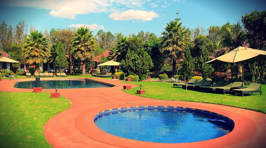 Cozy interior of a Bougainvillea Safari Lodge cottage with modern furniture and garden view