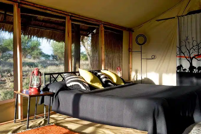 Kambi ya Tembo safari camp surrounded by nature and wildlife in Tanzania