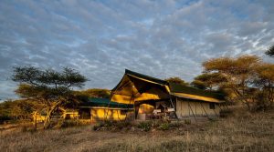 Serengeti Woodlands Camp Tanzania safari tented camp in Serengeti plains