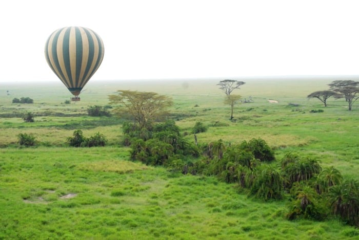 Serengeti hot air balloon safari taking off at sunrise over the Serengeti plains in Tanzania