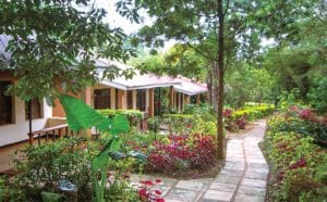 Eileen's Tree Inn lodge cottages and lush gardens in Karatu