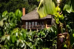 Kitela Lodge Karatu Tanzania luxury coffee estate lodge surrounded by greenery