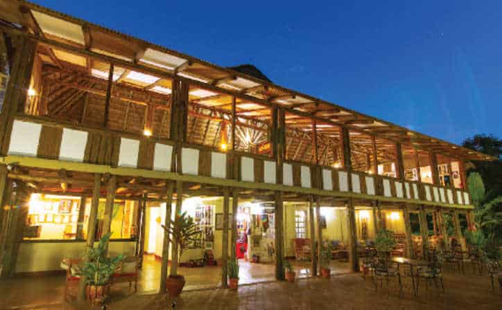 Exterior view of Eileen's Tree Inn cottages surrounded by tropical trees