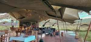 Asanja Moru safari camp in Central Serengeti Tanzania Moru Kopjes