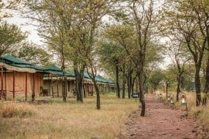 Tukaone Weavers Serengeti Camp safari accommodation in Central Serengeti Tanzania