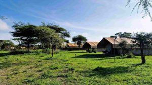 Africa Safari Ngorongoro Ndutu safari lodge Tanzania