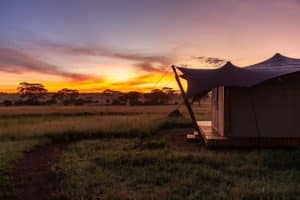 Anantya Serengeti luxury safari camp