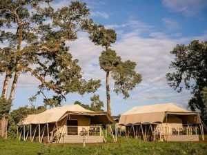 Ang’ata Ngorongoro Camp Tanzania near Ngorongoro Crater