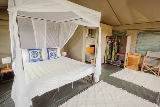 Bush Rover Migration Camp luxury Rover suite