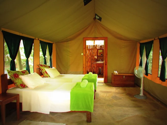 Hondo Hondo Udzungwa Forest Tented Camp tent interior