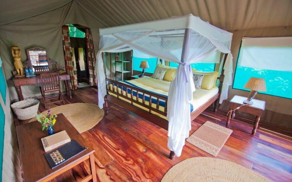 Mbali Mbali Gombe Lodge room