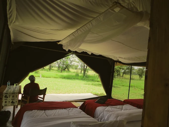 Pamoja Migration Camp Ndutu luxury safari tent