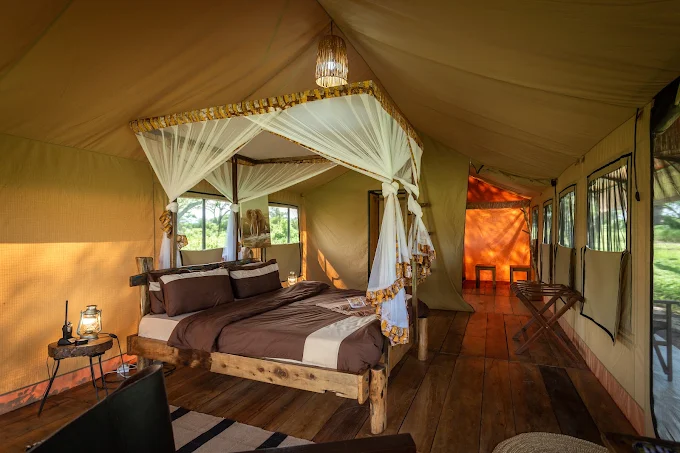 Tarangire Baobab Tented Camp luxury safari tent