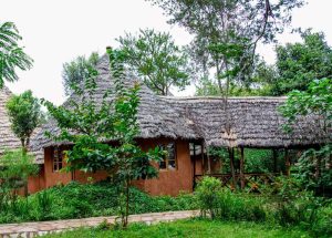 Tembo Villas Karatu exterior