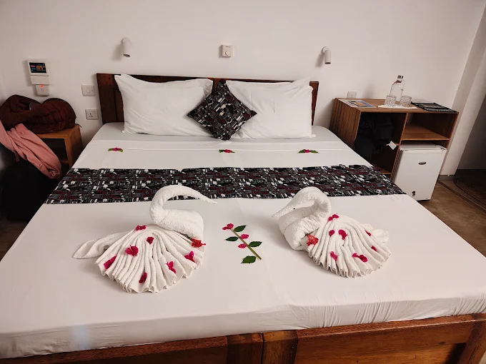 Natural Garden Hotel room in Zanzibar